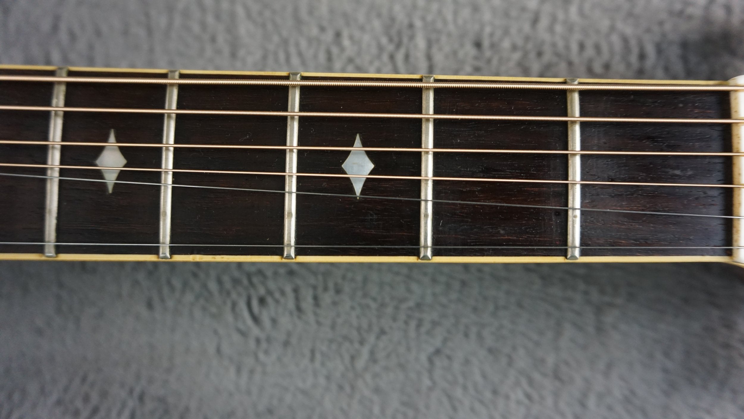 Aria Elecord FE-60 w/ Built-In Electronics w/ Hard Case