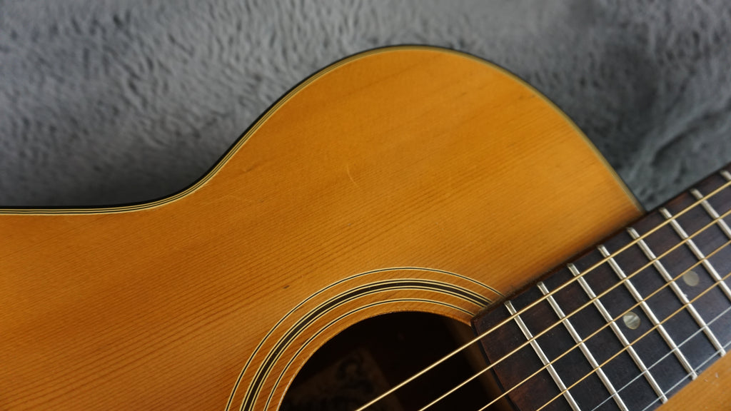 Takamine Elite 70 Japan Acoustic