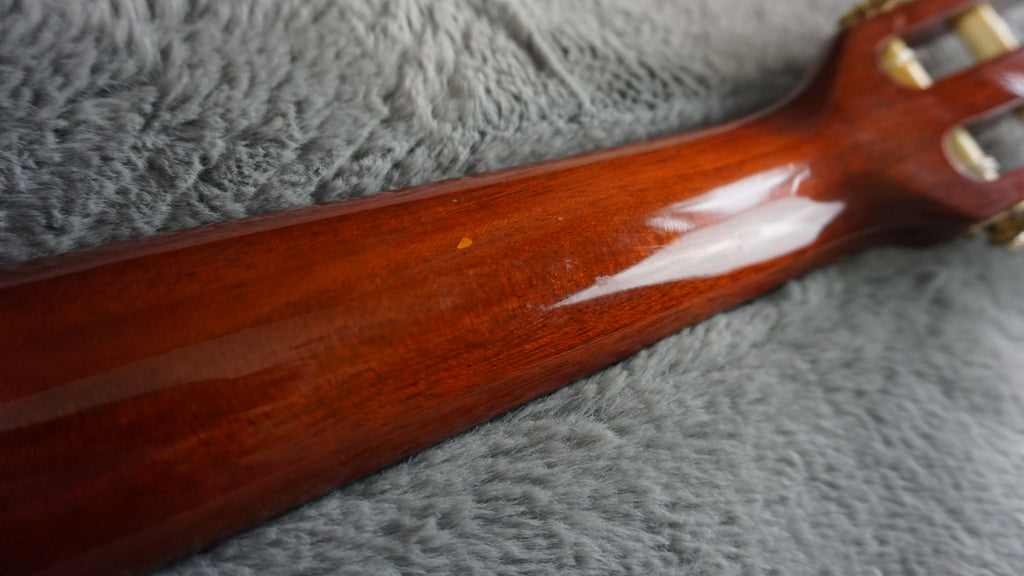 Aria A-20-48 Classical Guitar