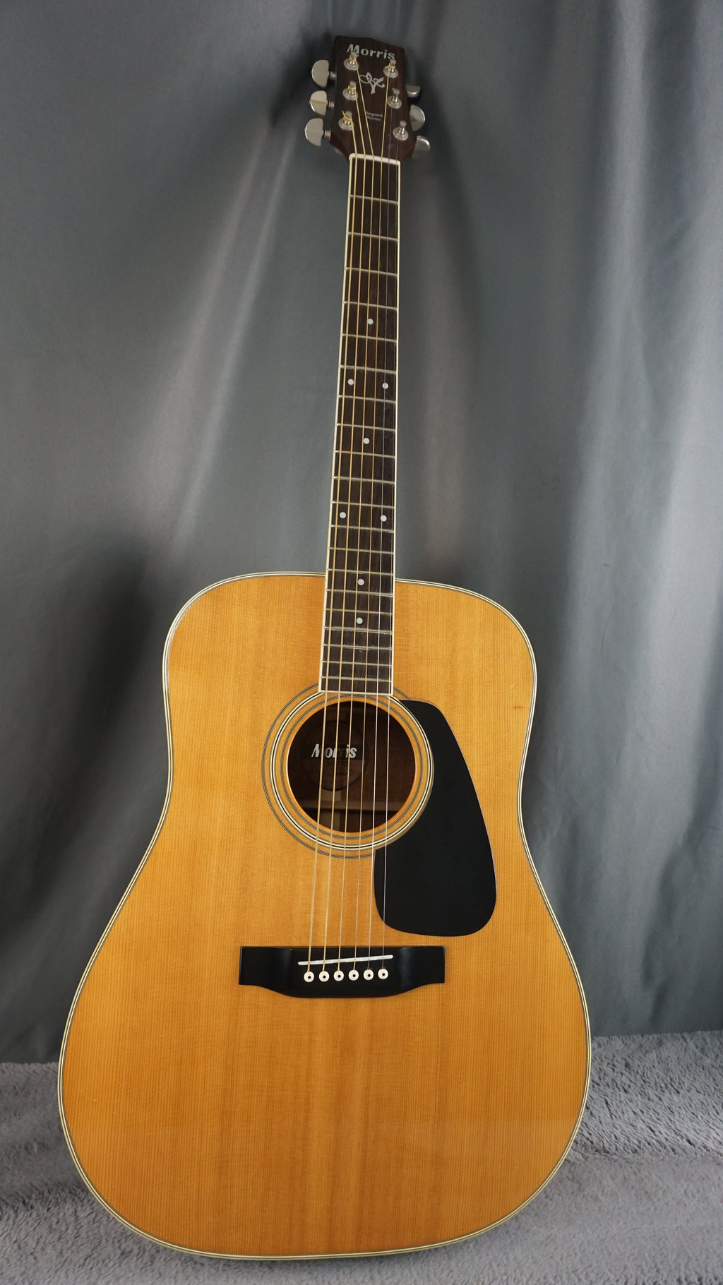 Morris MV-701 Vanguard Series Japan Acoustic