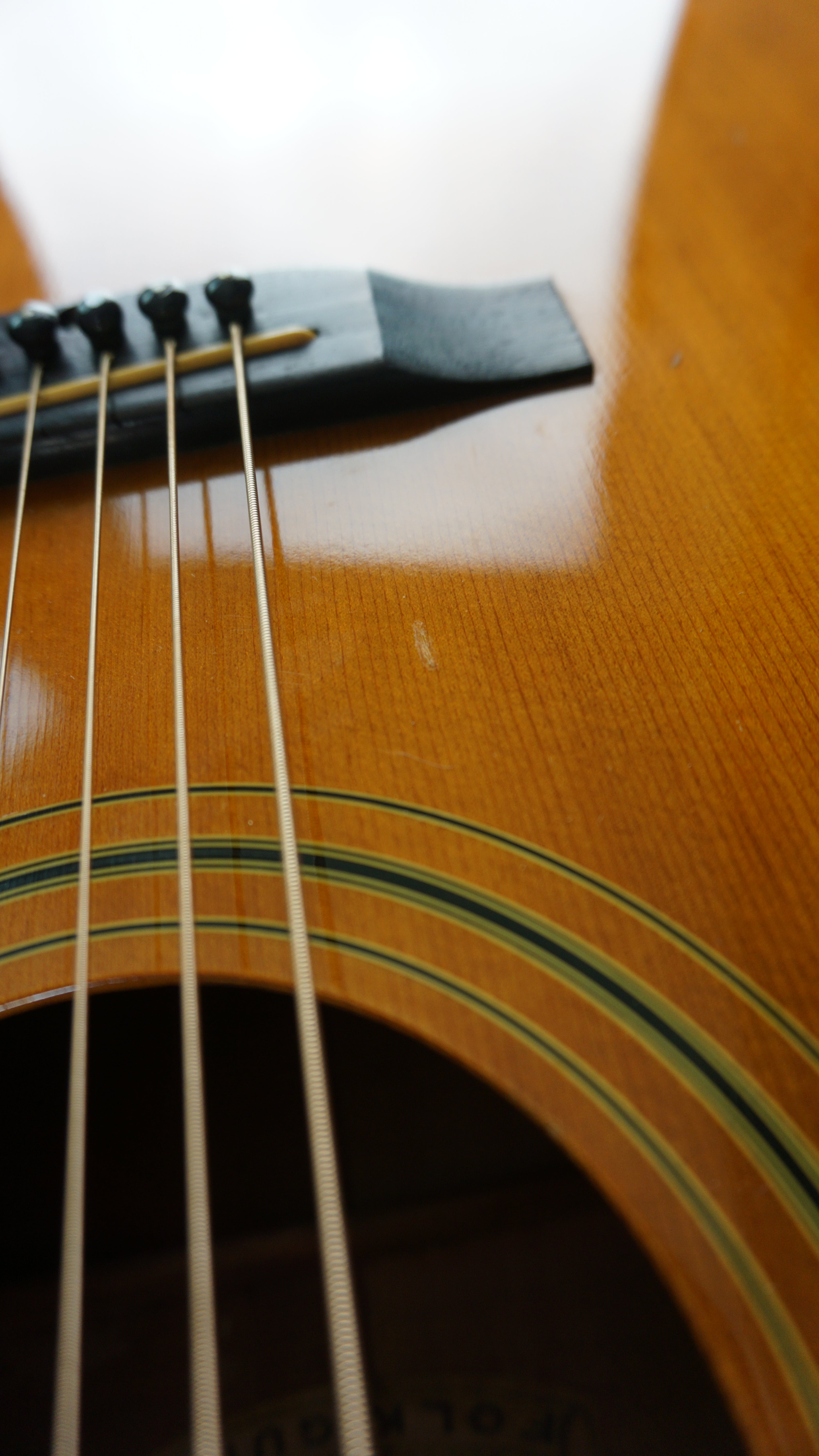 Tokai Hummingbird 180F Folk Guitar Japan Acoustic