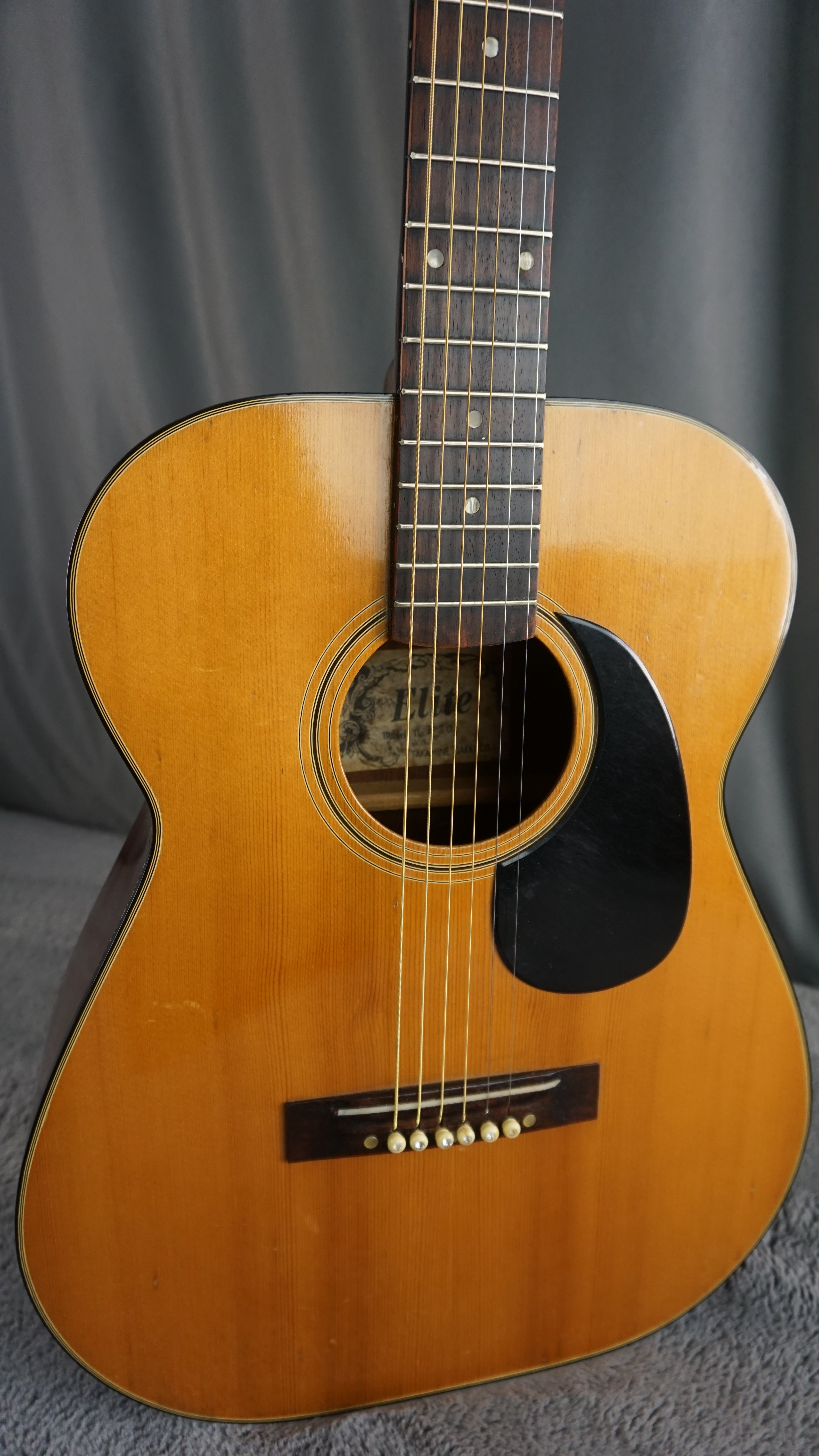 Takamine Elite 70 Japan Acoustic