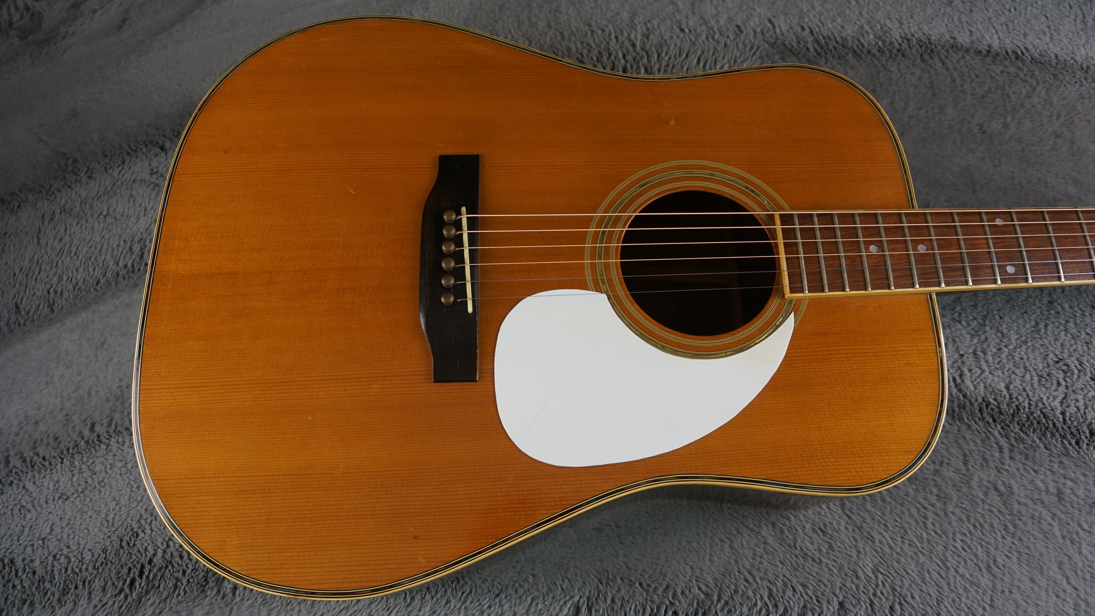 Morris W-35 Special Japan Acoustic Guitar