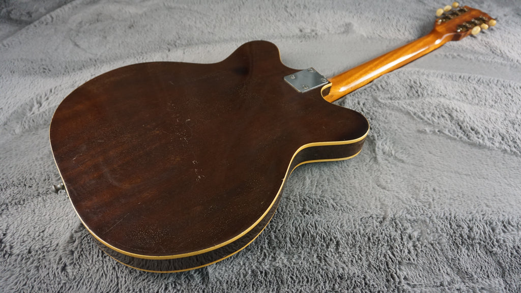Lero Semi Hollow Body Electric Guitar