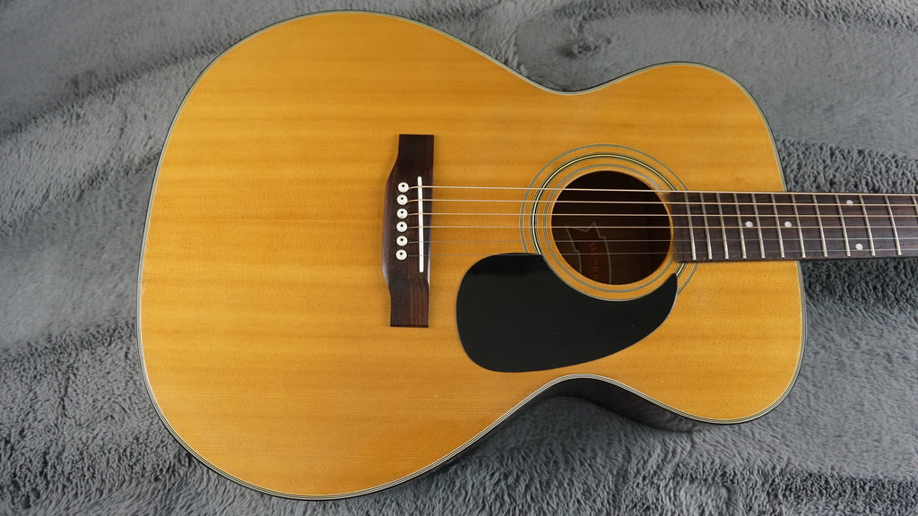 Westone F-13 Japan Acoustic