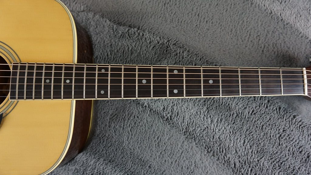 Morris W-20 Japan Acoustic