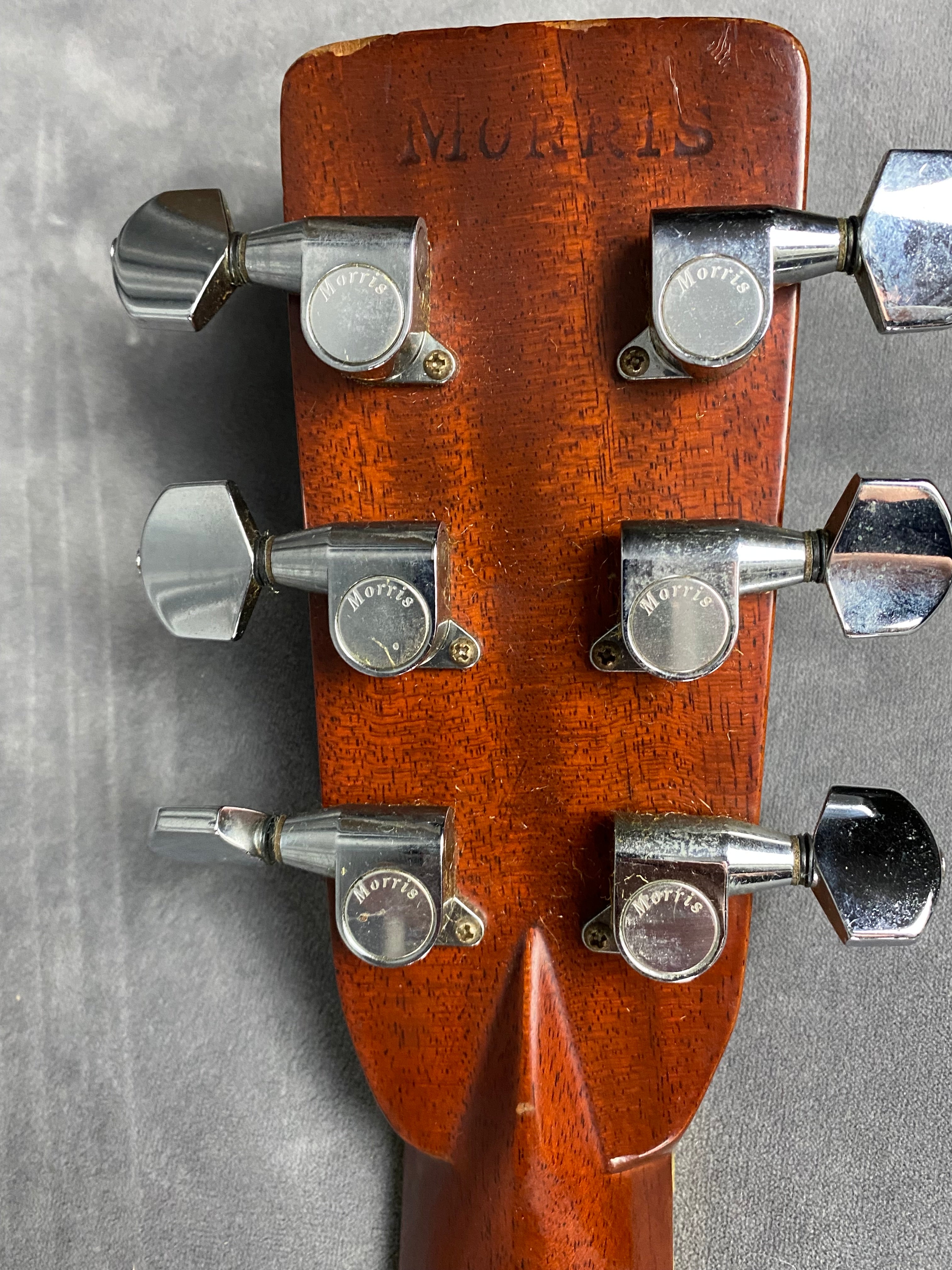 T F Morris W-80 Rare MIJ Premium Model early 1980’s