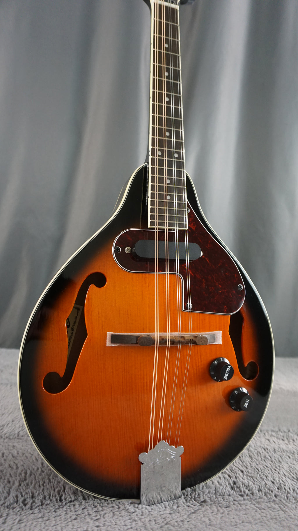 Aria AM-20E Japan Mandolin w/ Hard Case