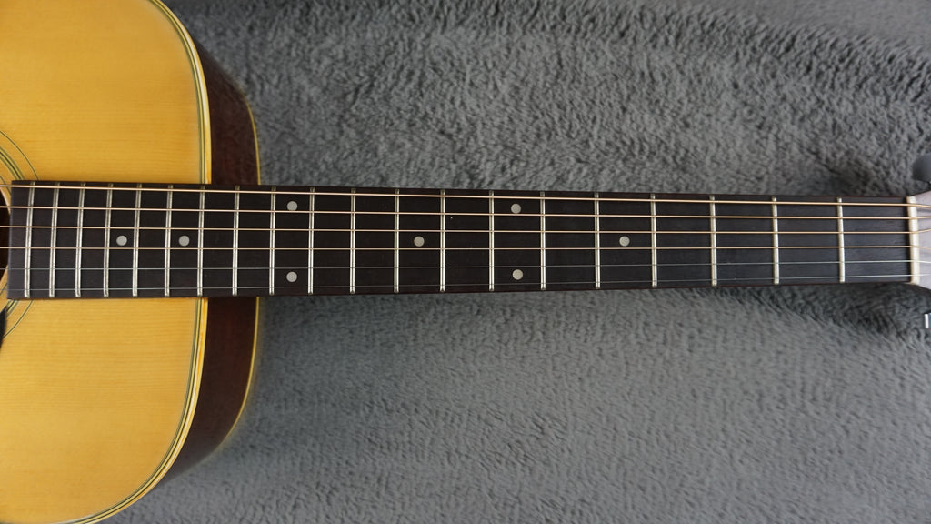 Morris F-20 Japan Acoustic