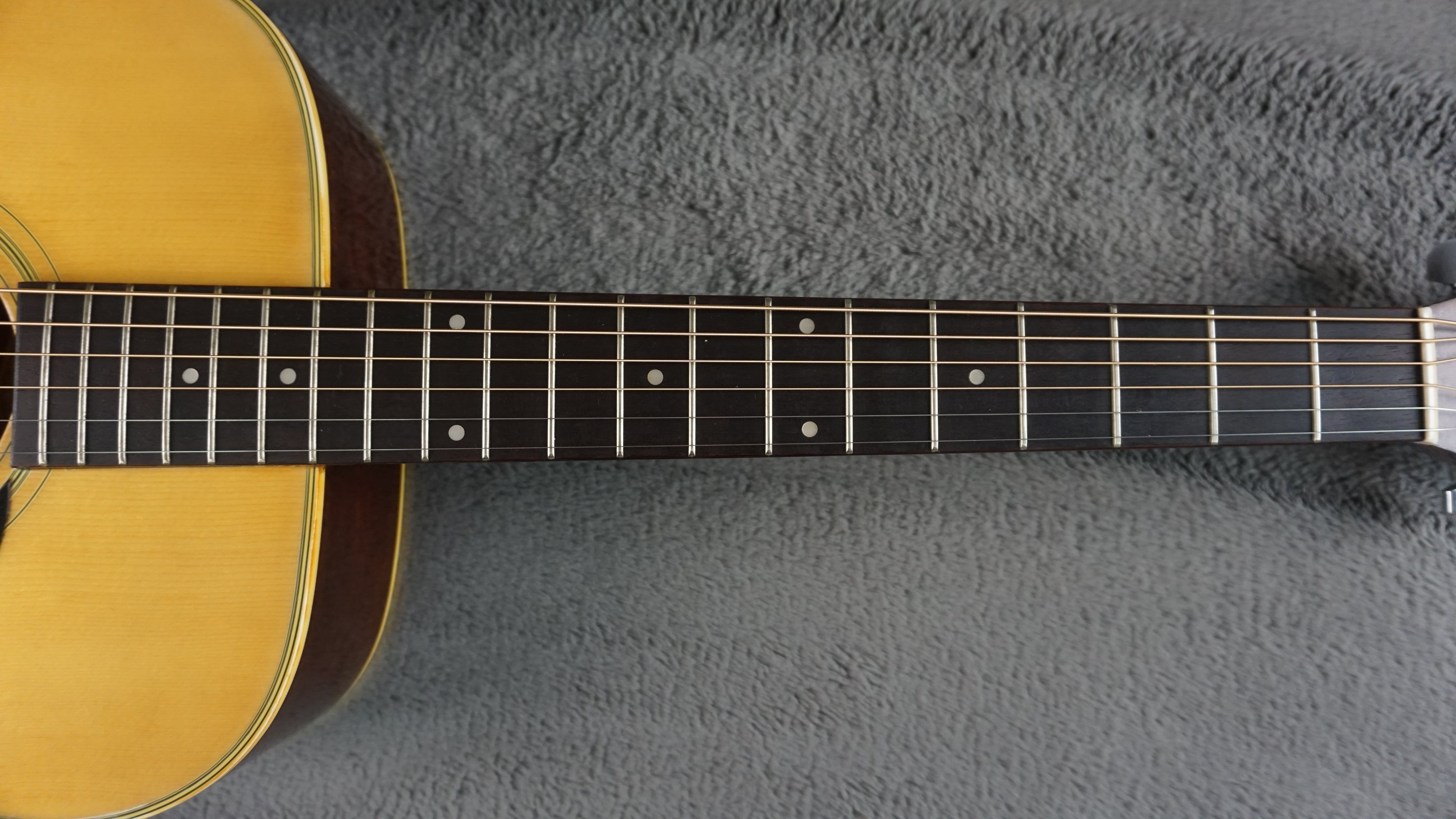 Morris F-20 Japan Acoustic