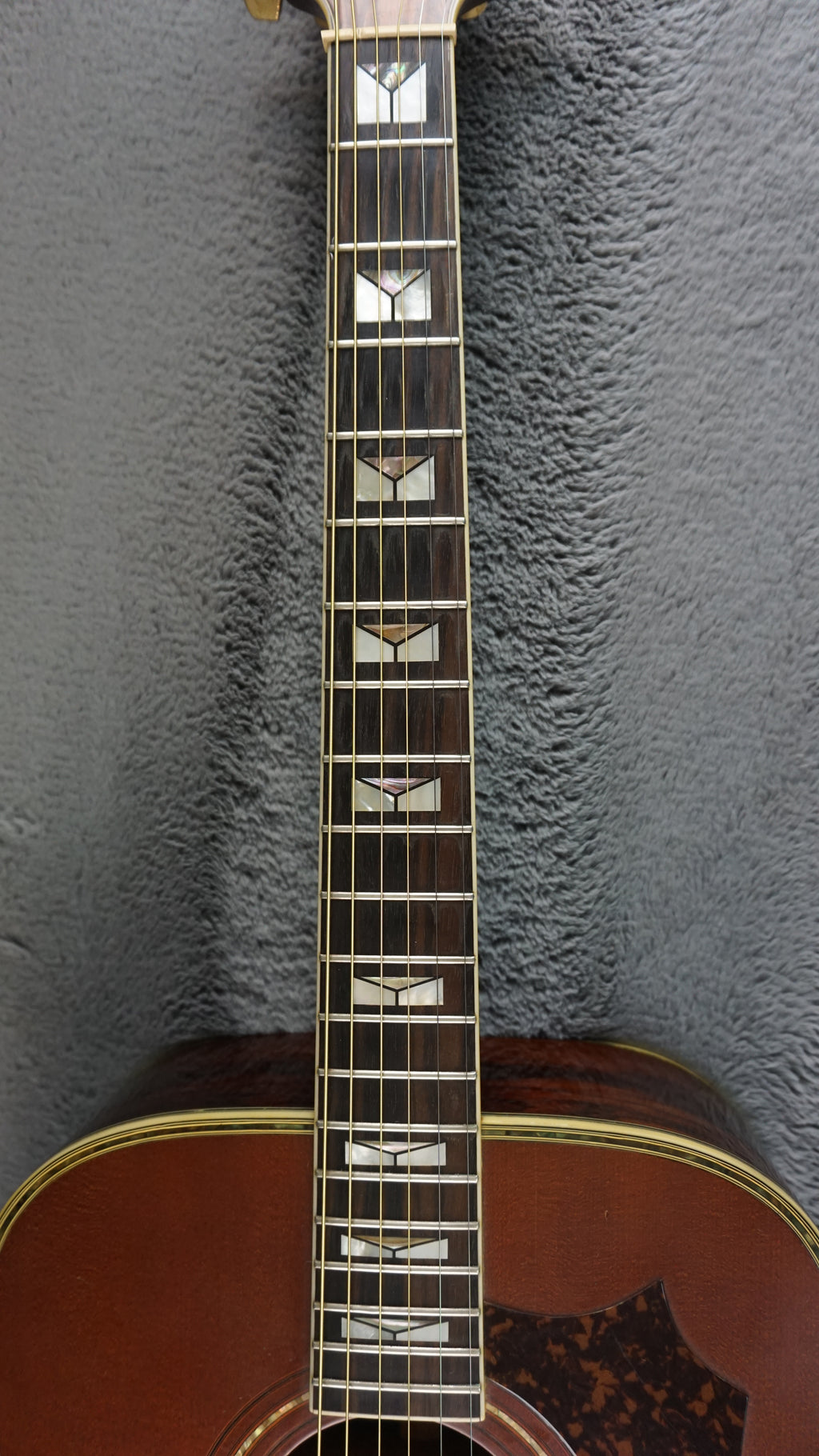 Morris MG-1100 Japan Dreadnought w/ Hard Case