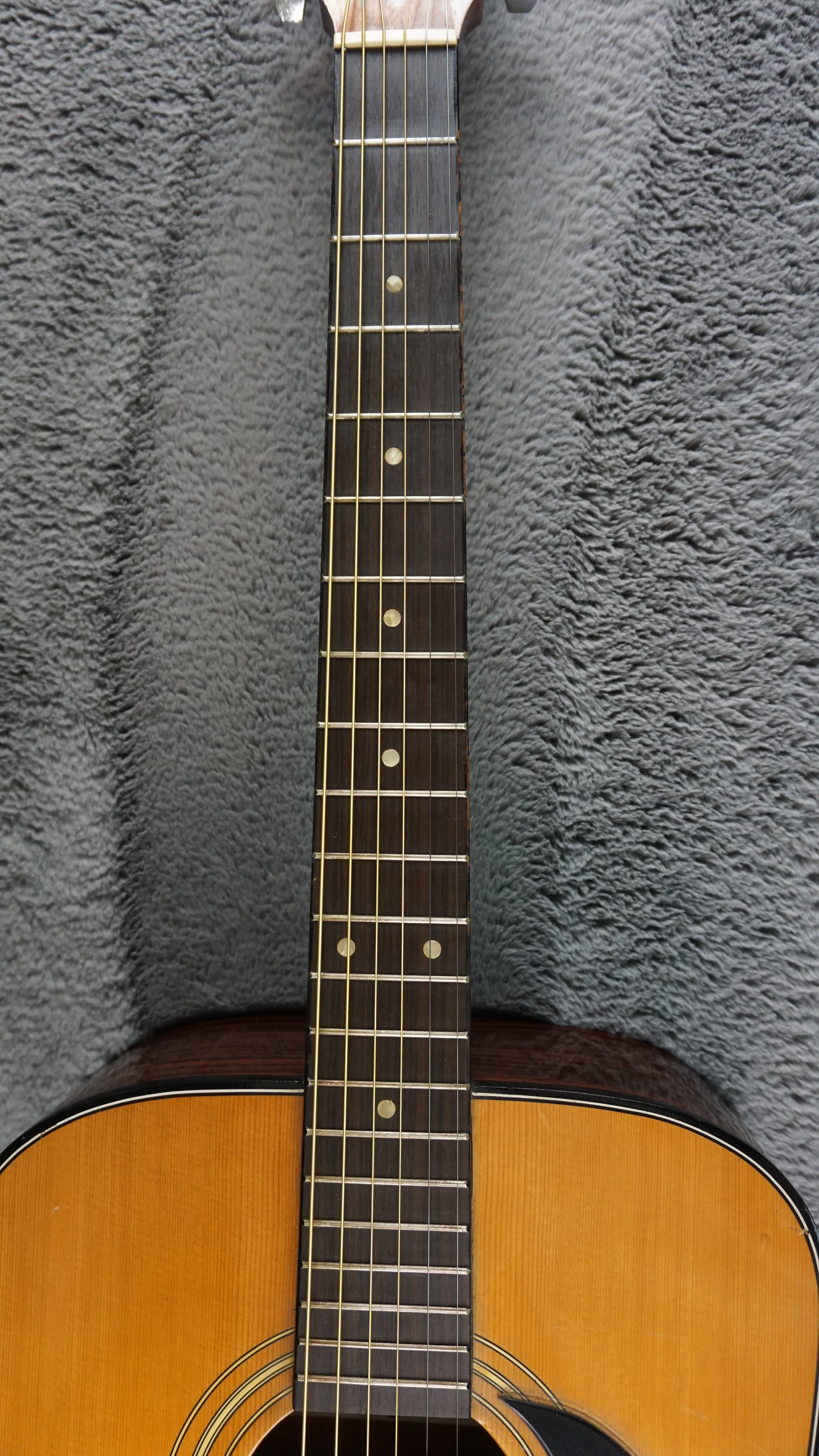Great Lake Deluxe No. 150 Japan Folk Acoustic