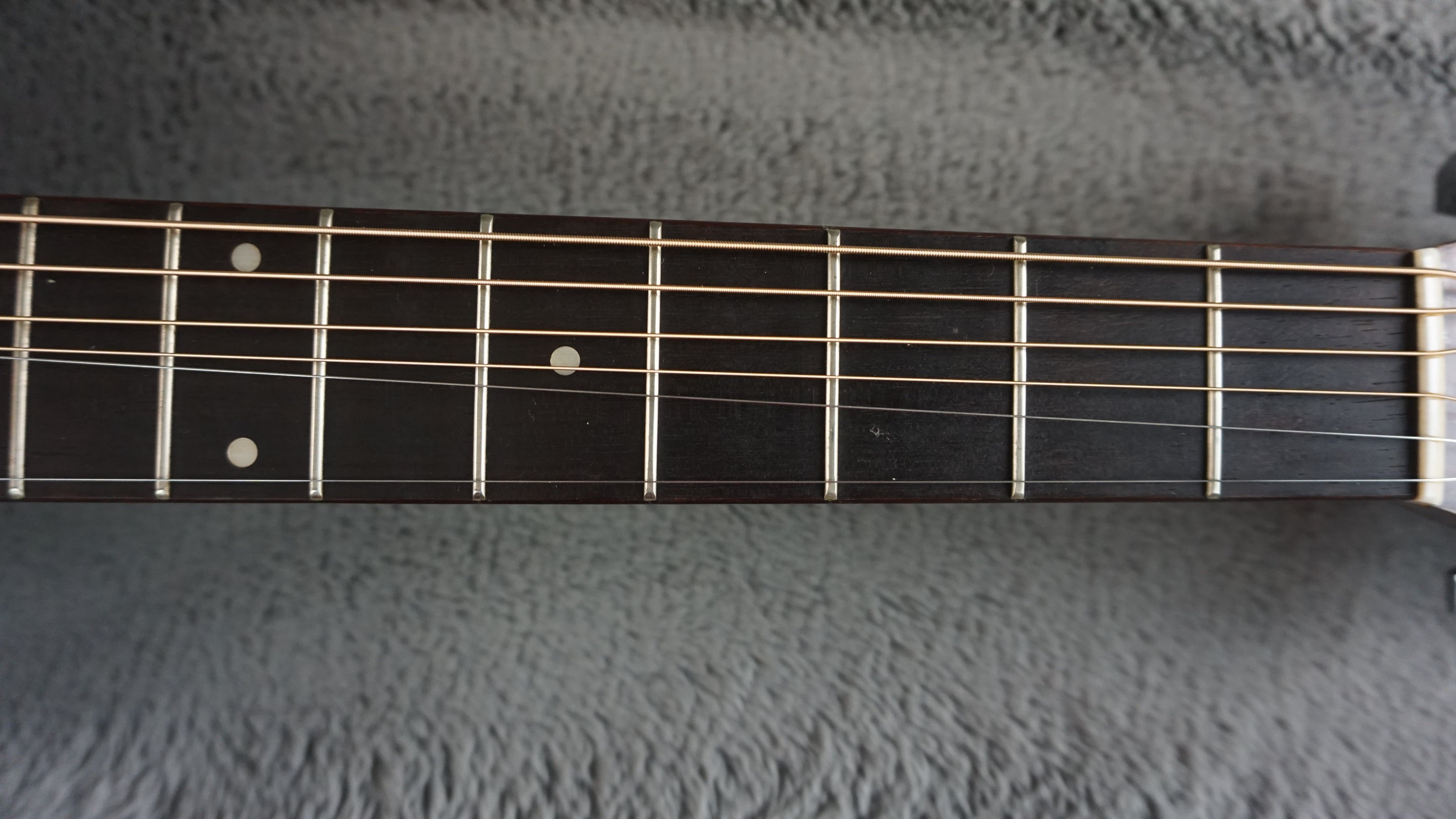 Morris F-20 Japan Acoustic