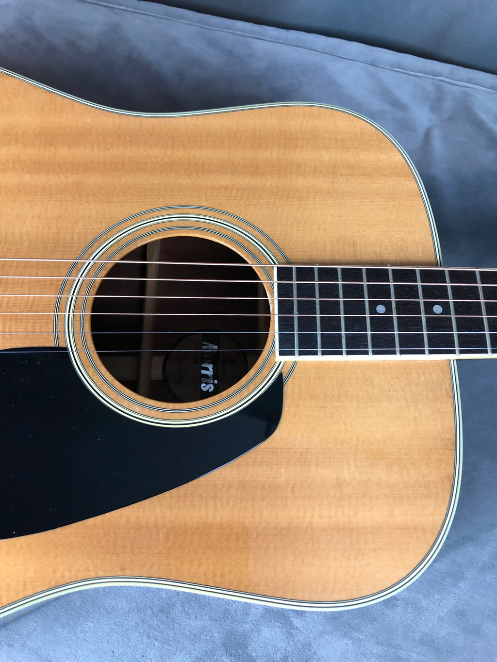 Morris MV-701 Vanguard Series Fantastic! 1980’s