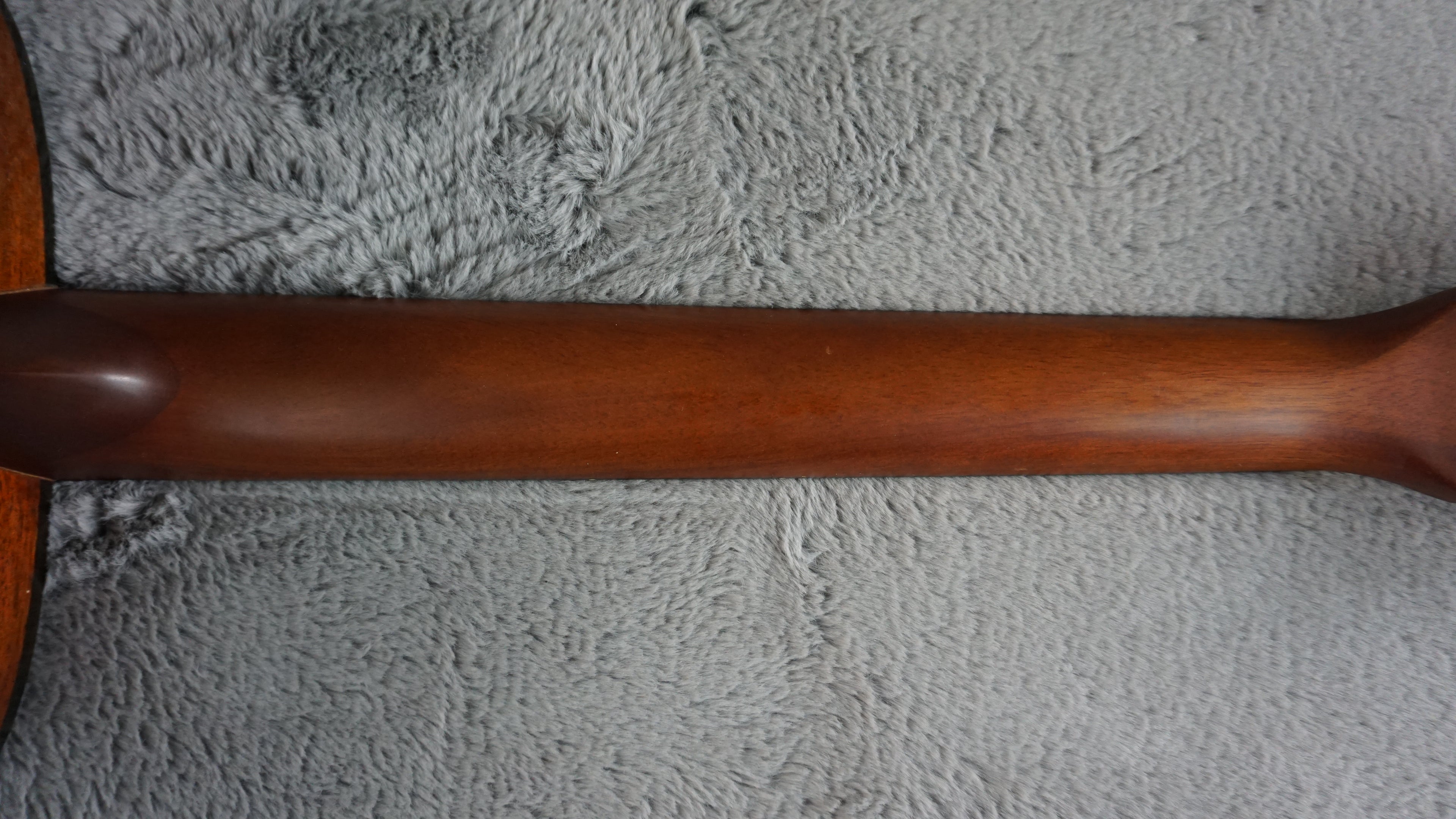 Morris MF-202N Japan Acoustic