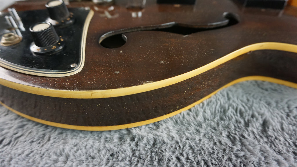Lero Semi Hollow Body Electric Guitar