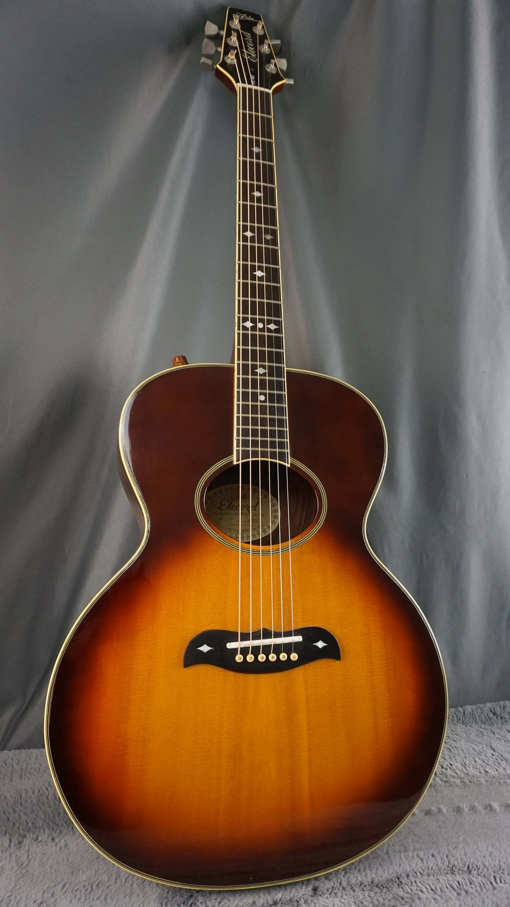 Aria Elecord FE-60 w/ Built-In Electronics w/ Hard Case