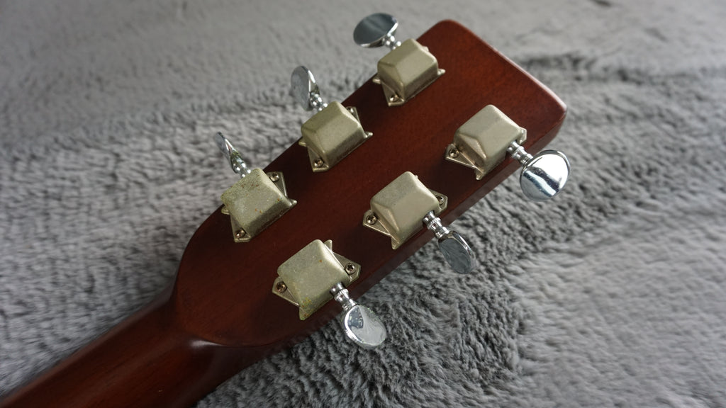 Thumb W-150 by Terada Japan Acoustic w/ Hard Case