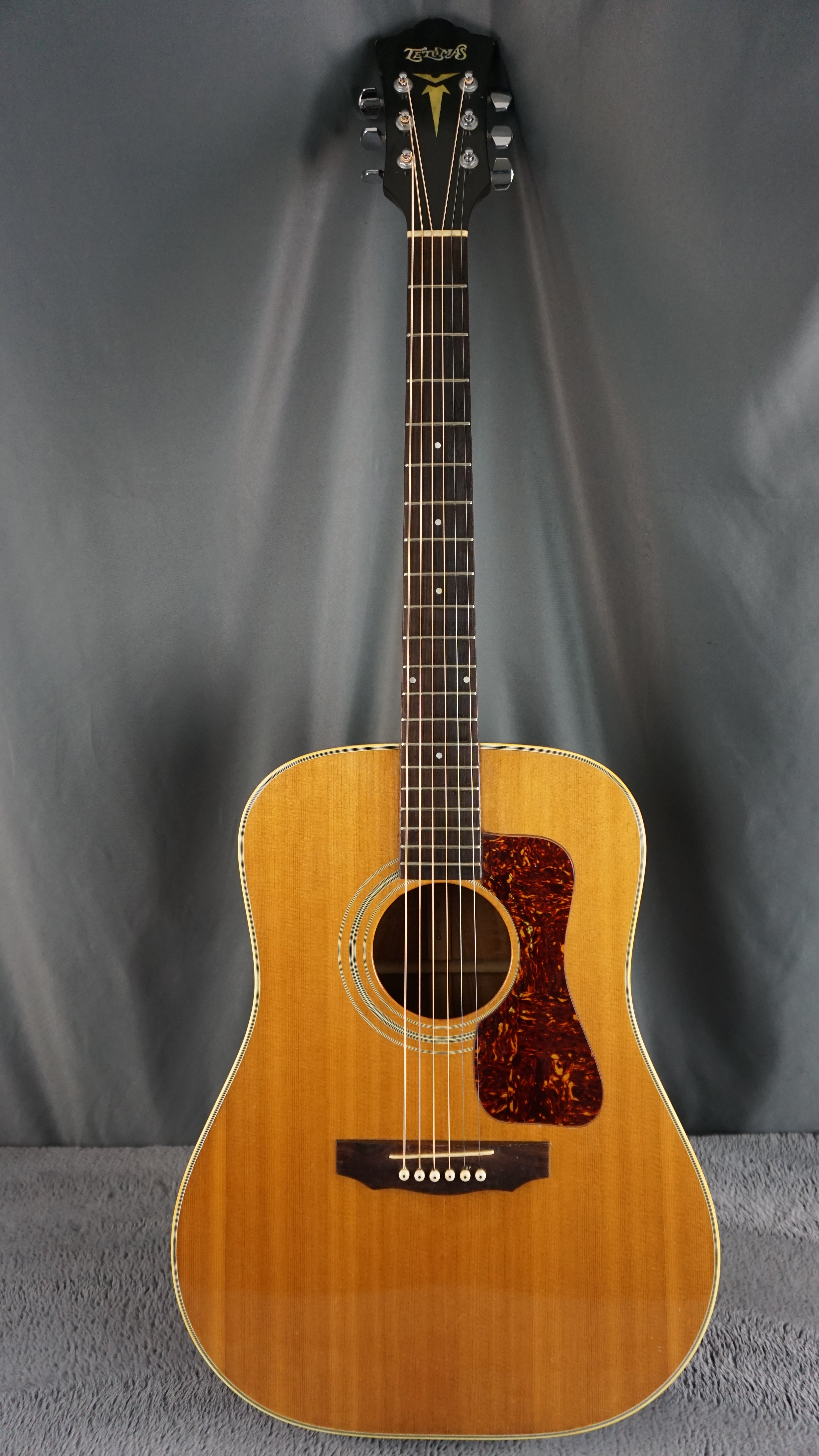 Temmas Nashville N-40D - Natural Acoustic Guitar