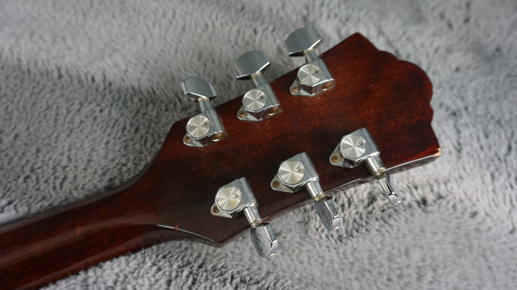 Temmas Nashville N-40D - Natural Acoustic Guitar