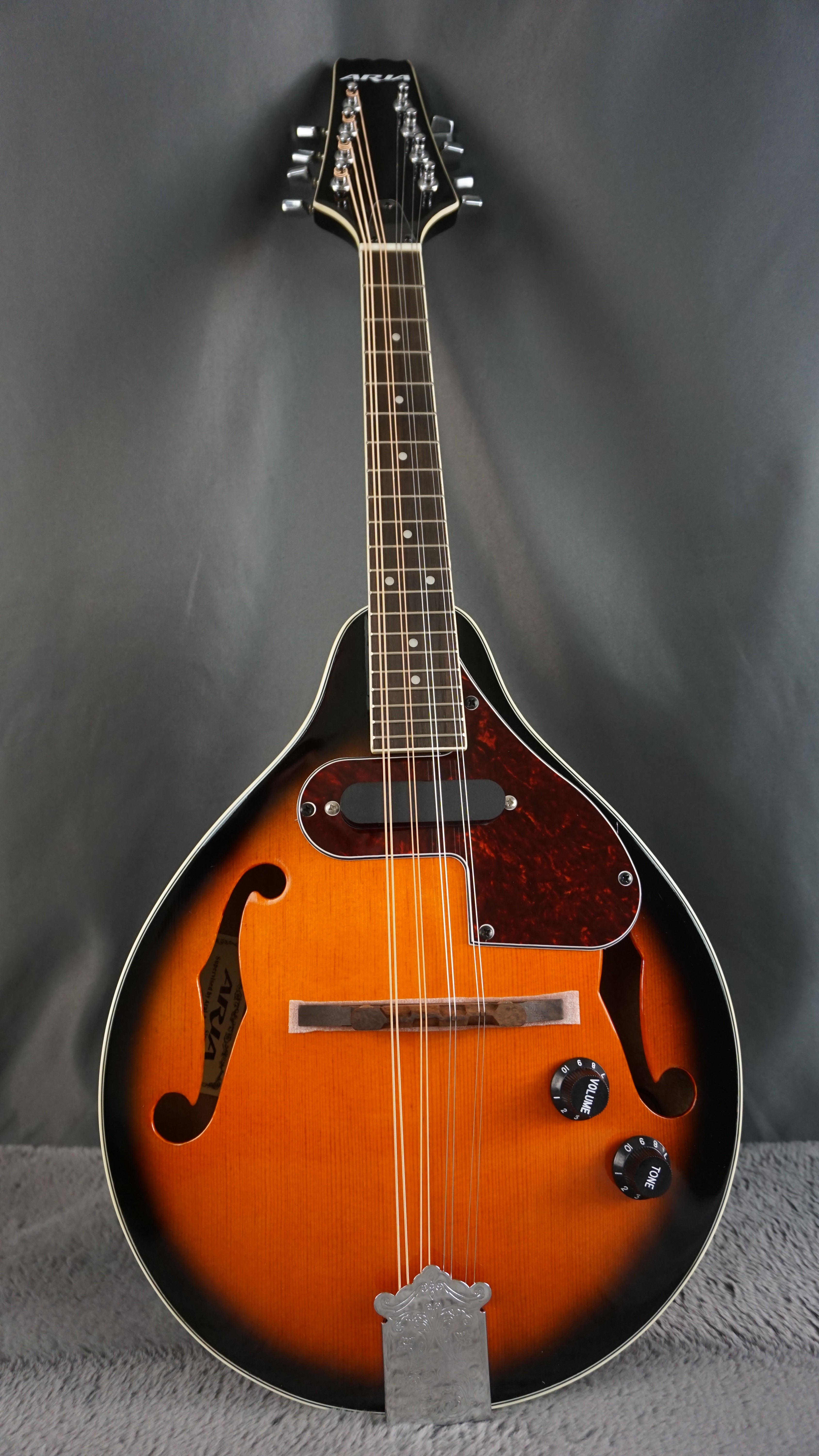 Aria AM-20E Japan Mandolin w/ Hard Case