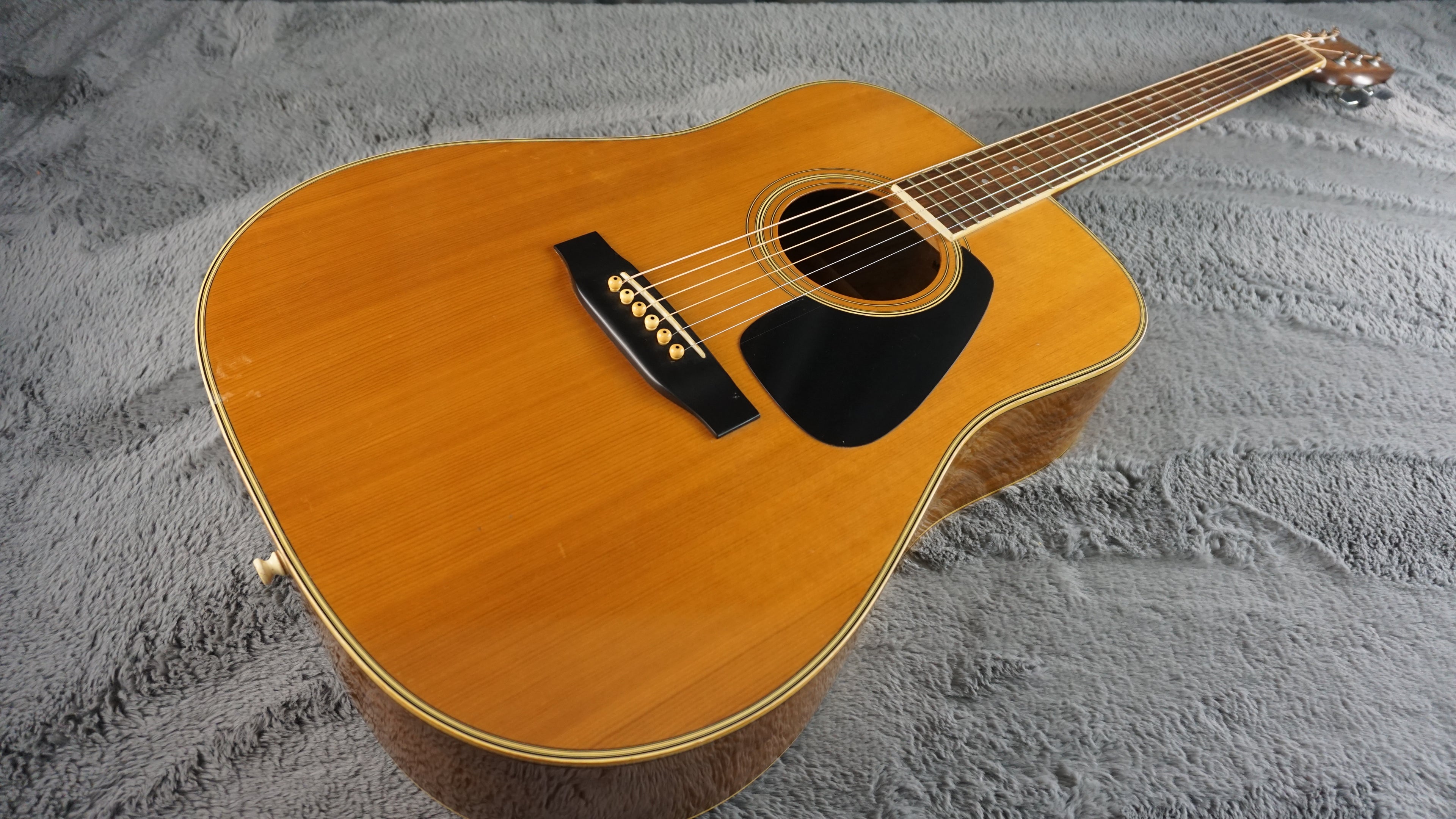 Morris MD-505 Japan Acoustic Guitar