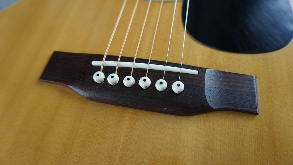 Westone F-13 Japan Acoustic
