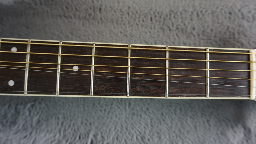 Morris MV-701 Vanguard Series Japan Acoustic