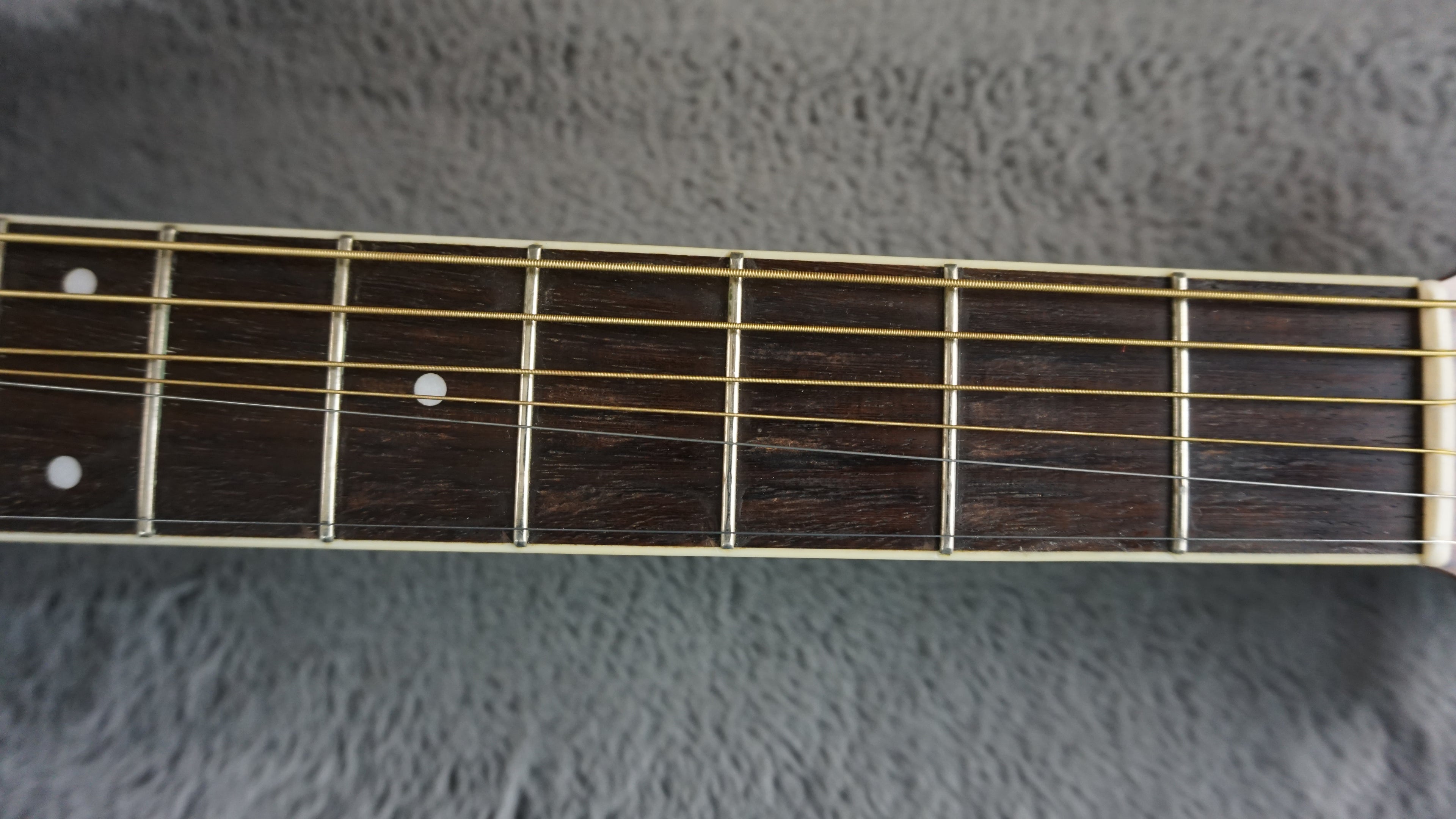 Morris MV-701 Vanguard Series Japan Acoustic