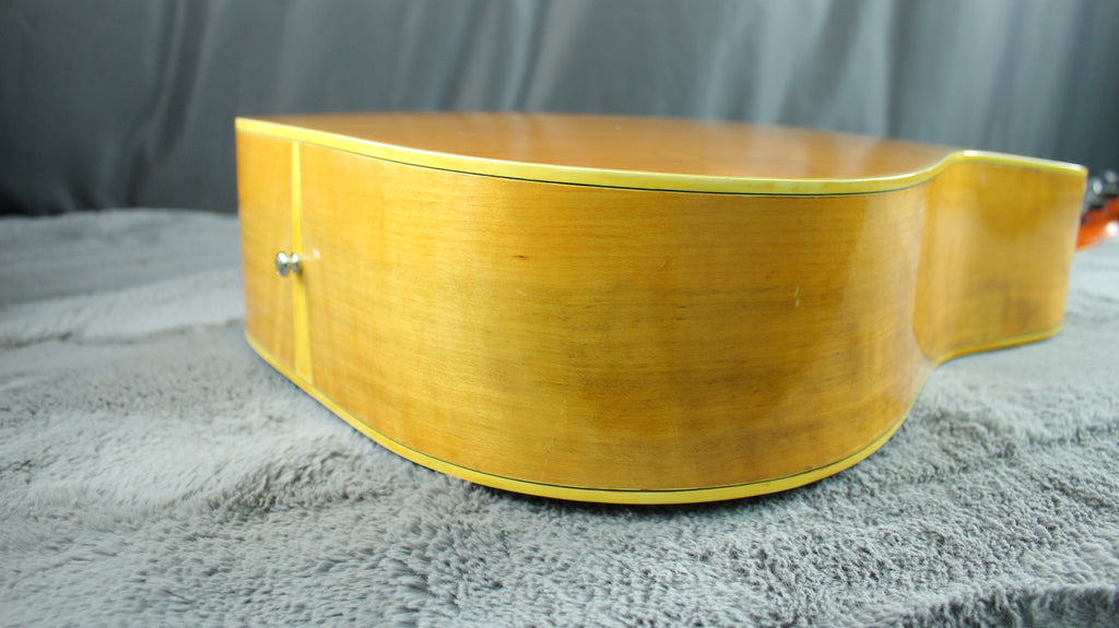 Roje by Zen-On 250 Hummingbird Style Acoustic Japan