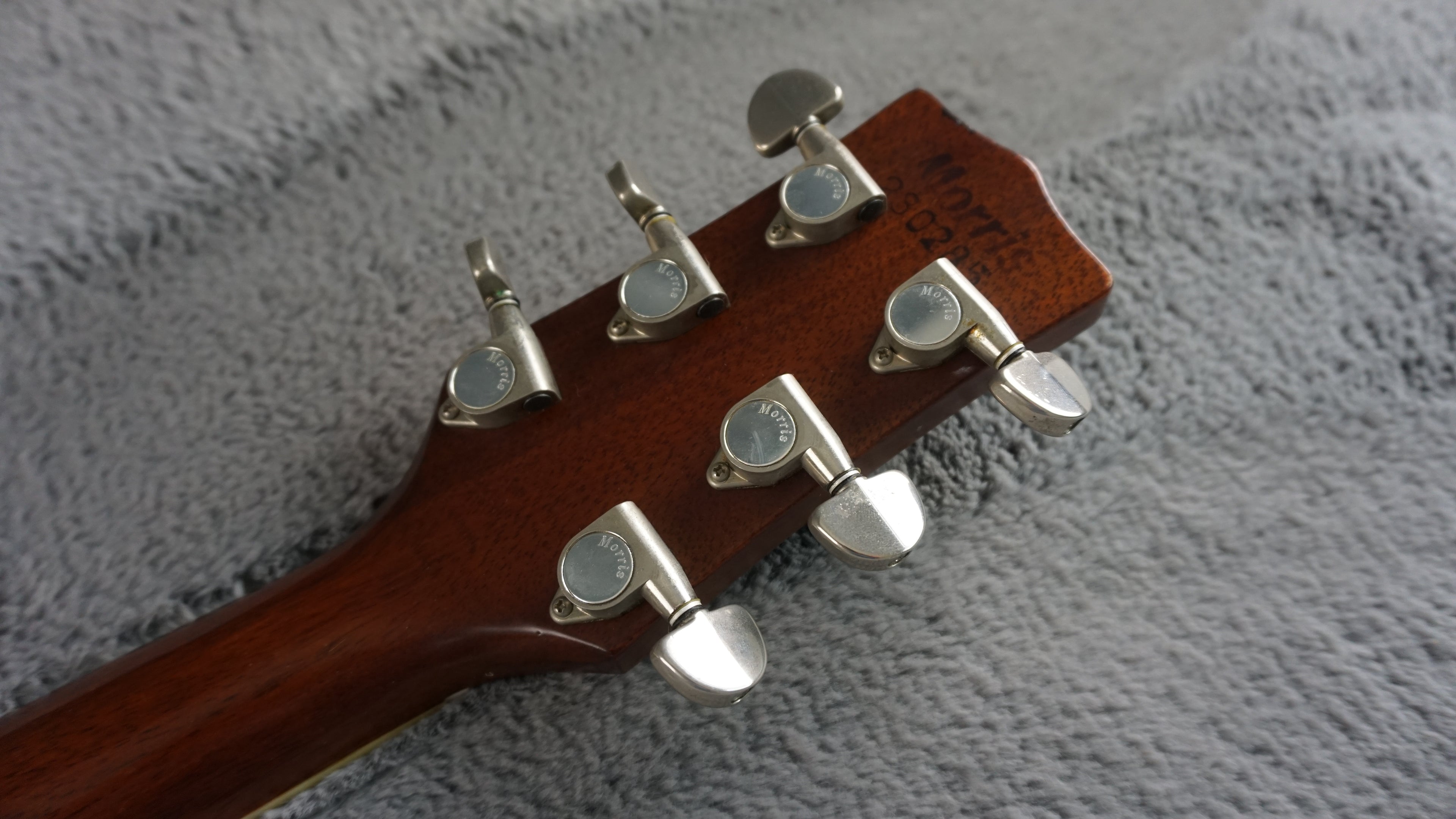 Morris MV-701 Vanguard Series Japan Acoustic