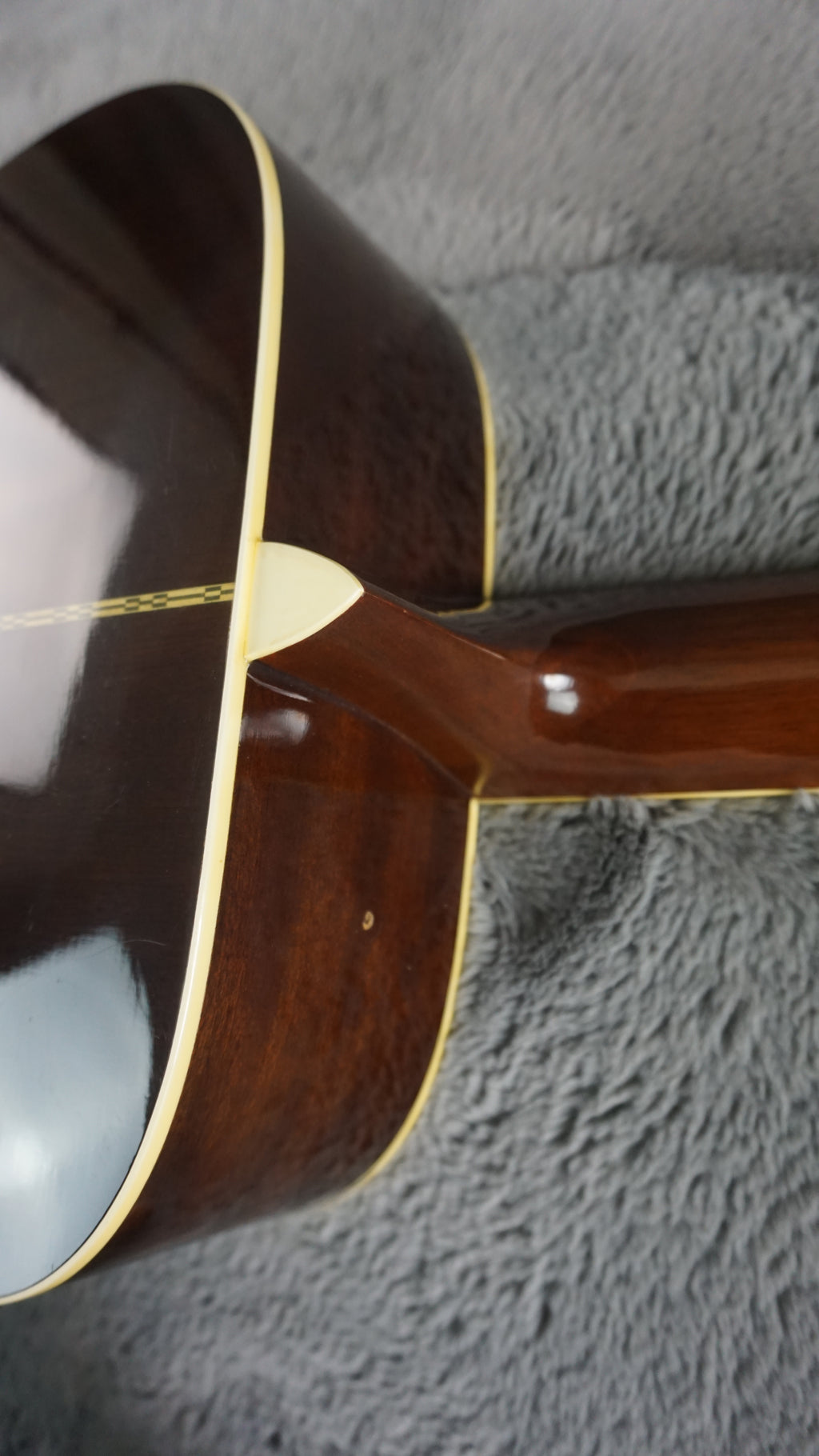 Morris W-20 Japan Acoustic
