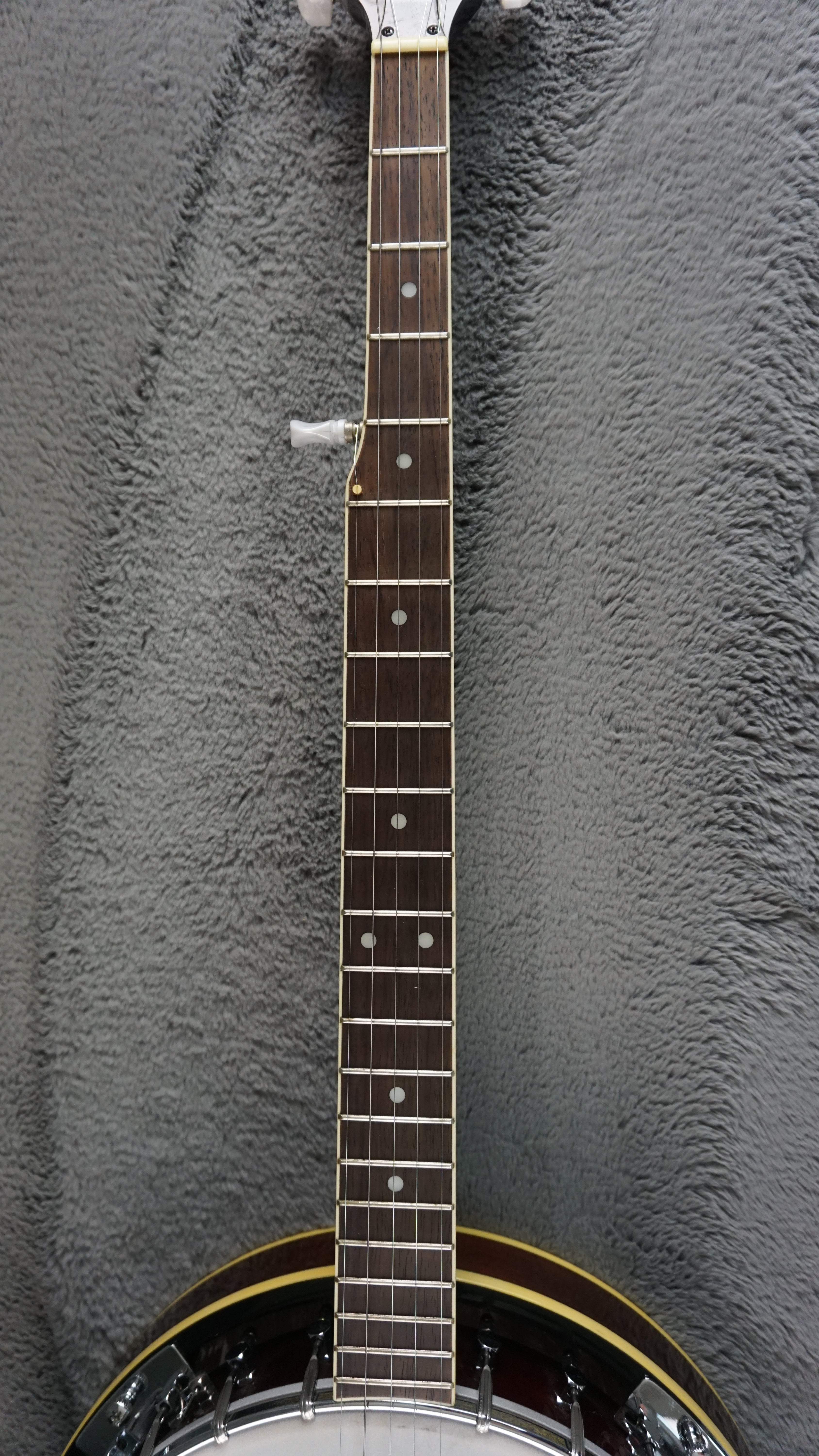 Aria 5-String Banjo Japan w/ Hard Case