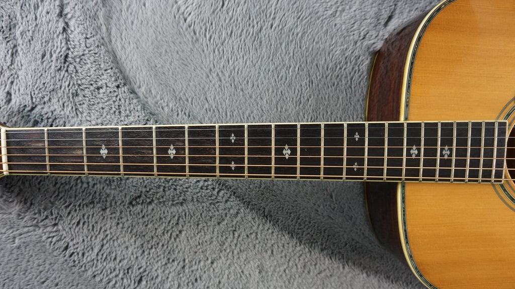 TF Morris W-50 - Natural Japan Acoustic