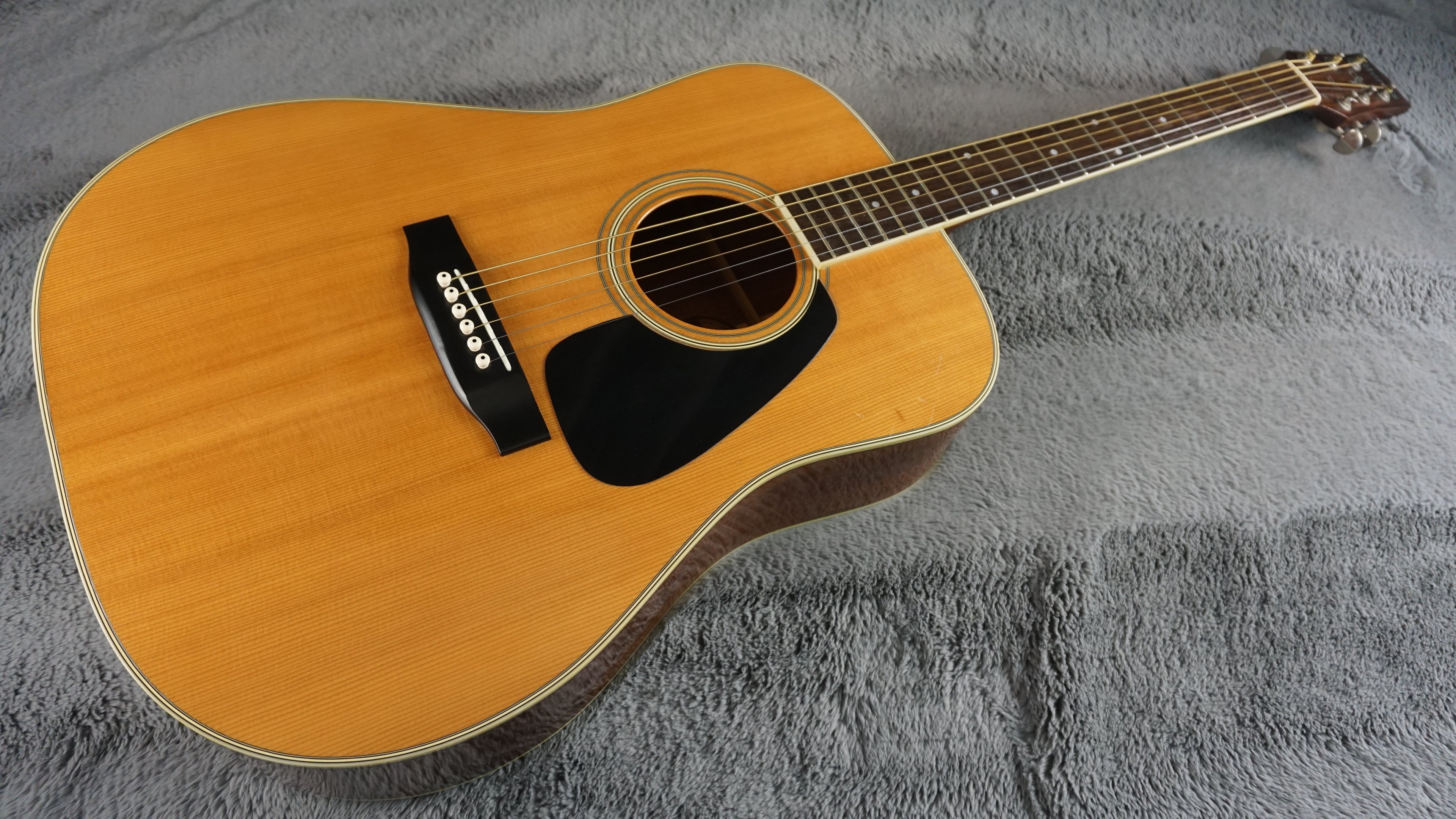 Morris MV-701 Vanguard Series Japan Acoustic