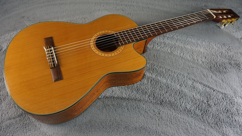 Vantage VC-20CE Classical Guitar w/ Hard Case
