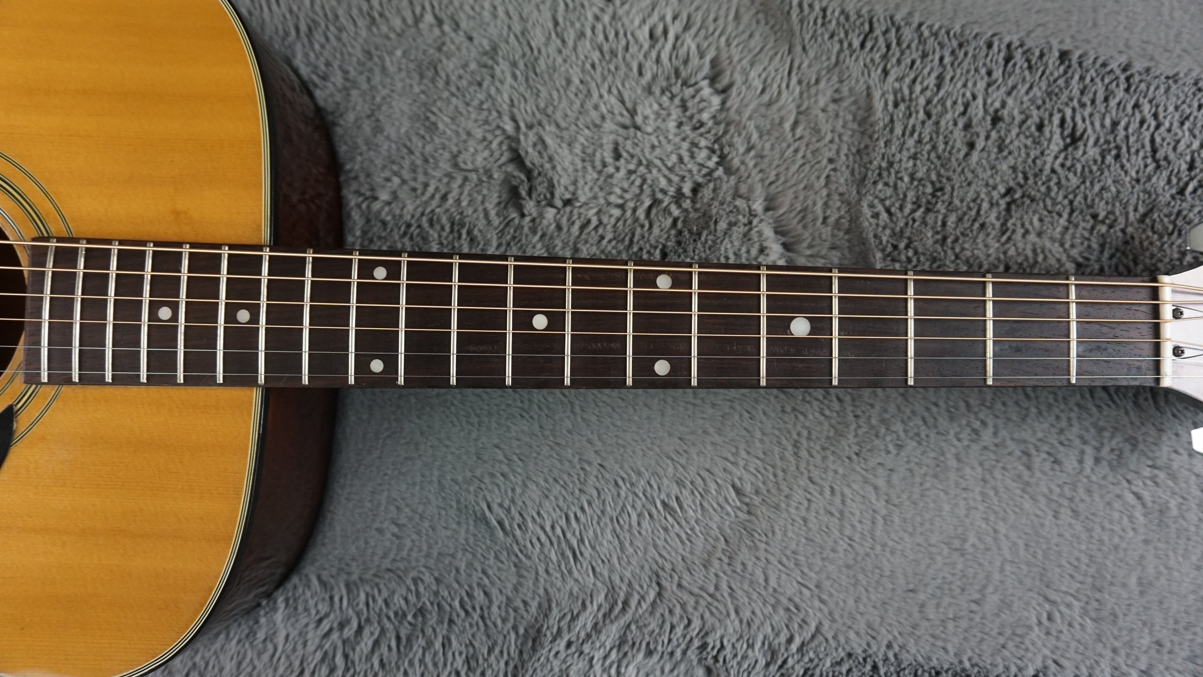 Westone F-13 Japan Acoustic