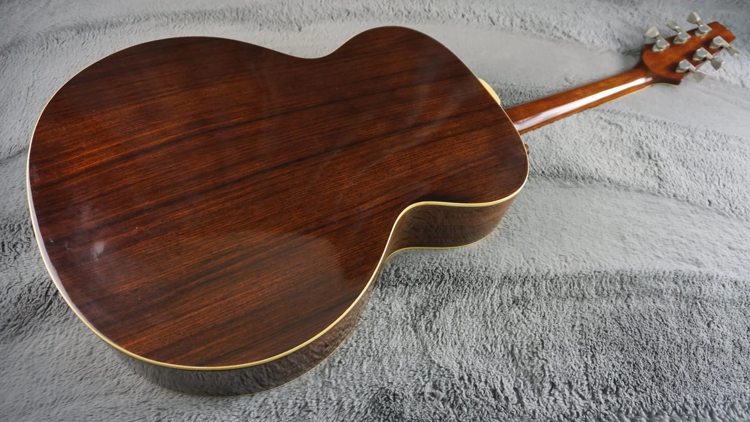 Aria Elecord FE-60 w/ Built-In Electronics w/ Hard Case