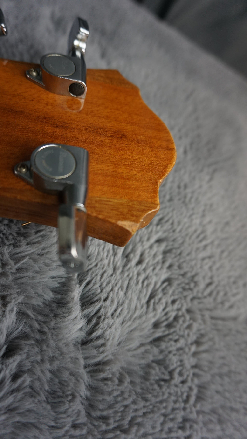 Ibanez NW-30 1983 - Natural Wood all Cedar