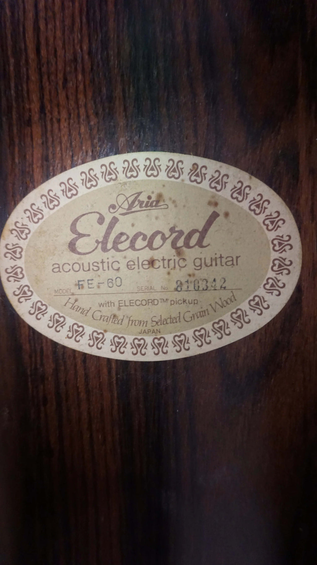 Aria Elecord FE-60 w/ Built-In Electronics w/ Hard Case