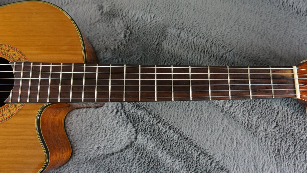 Vantage VC-20CE Classical Guitar w/ Hard Case