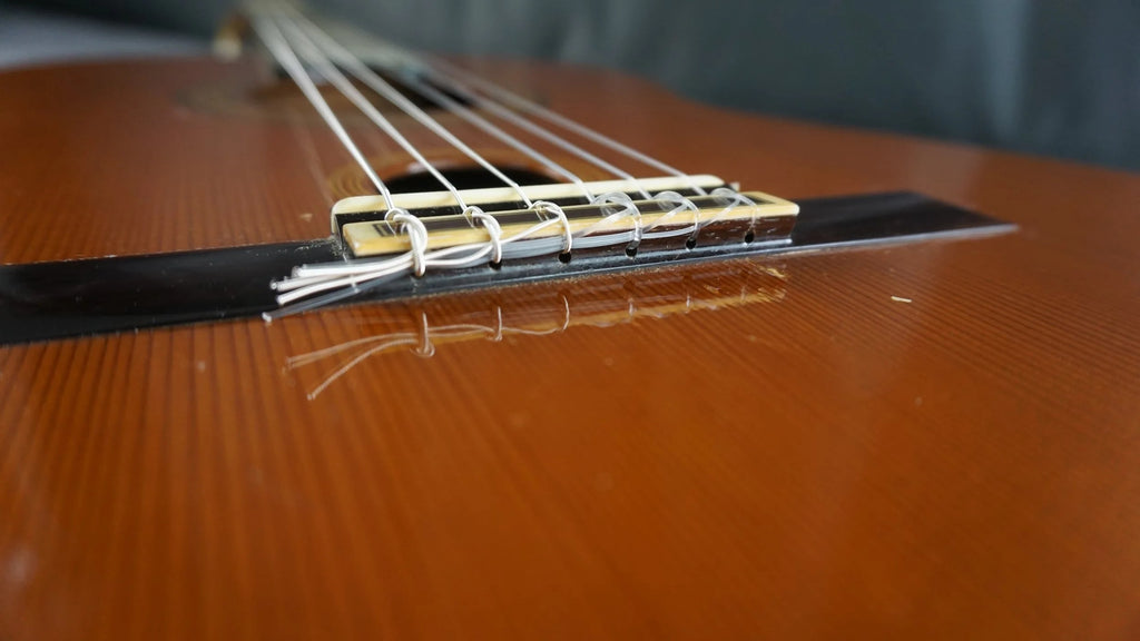World Sound Model 500 Relative Sound Hole System Japan Classical
