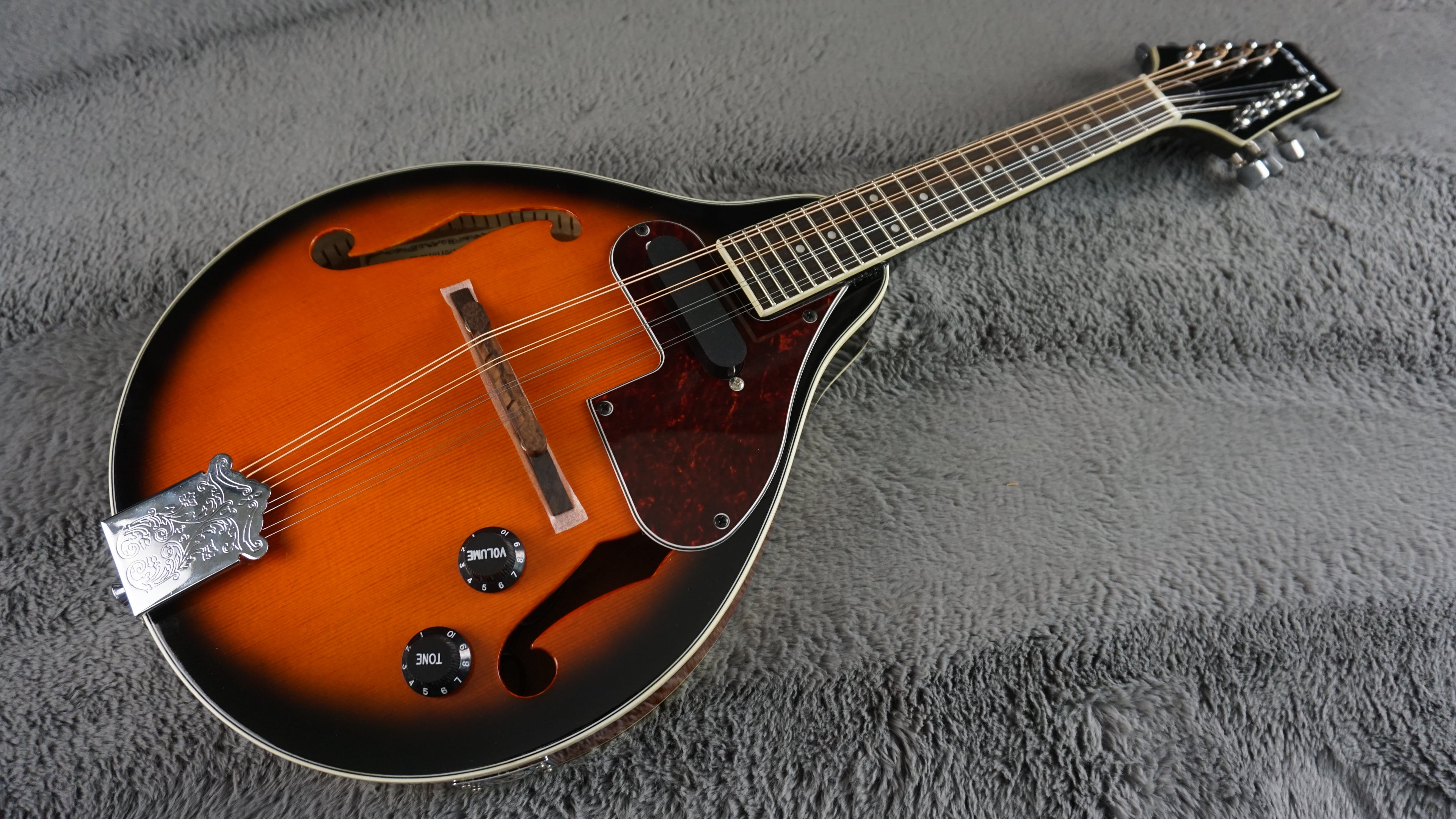 Aria AM-20E Japan Mandolin w/ Hard Case