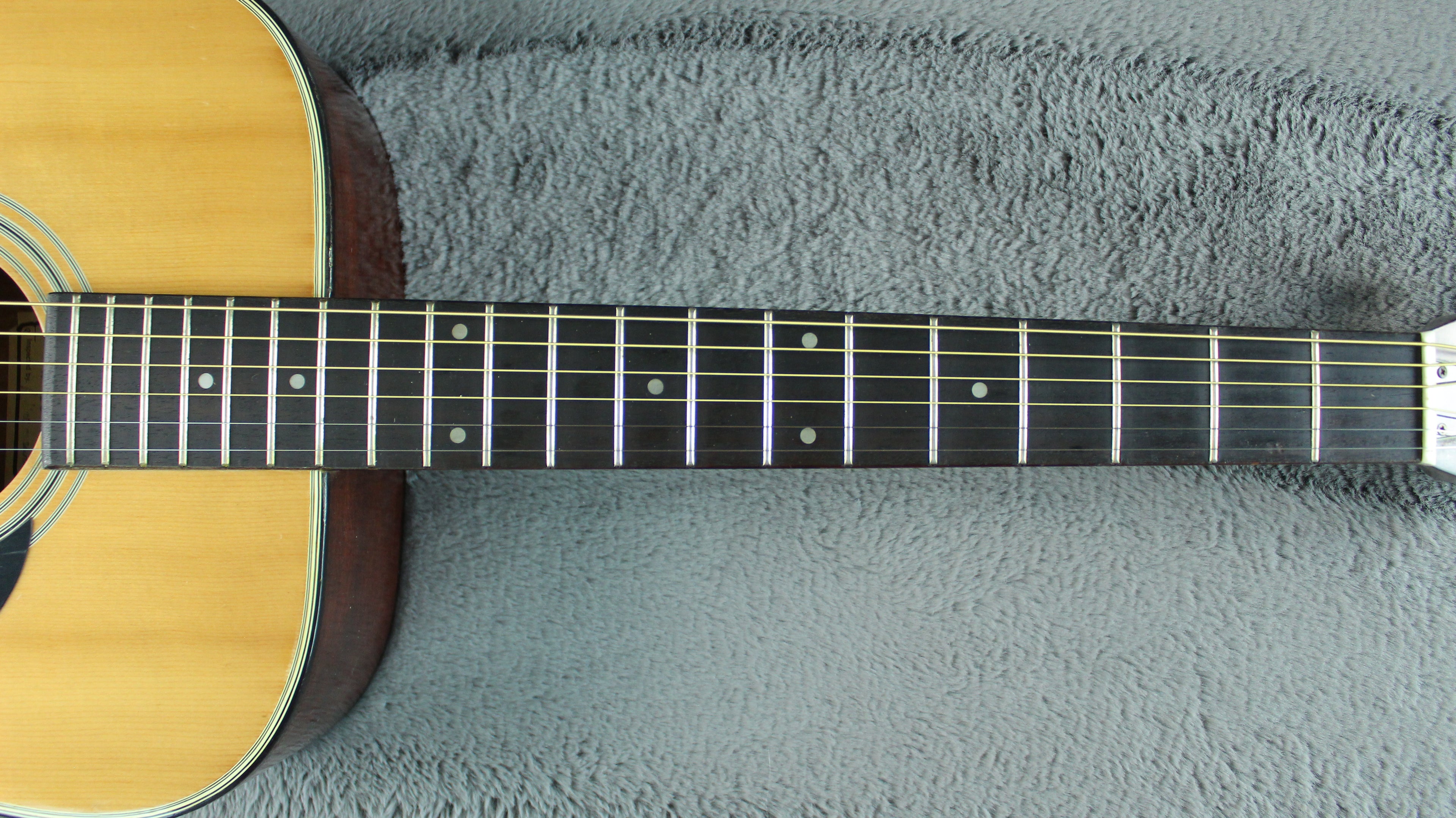 Morris W-15 Japan Acoustic Guitar
