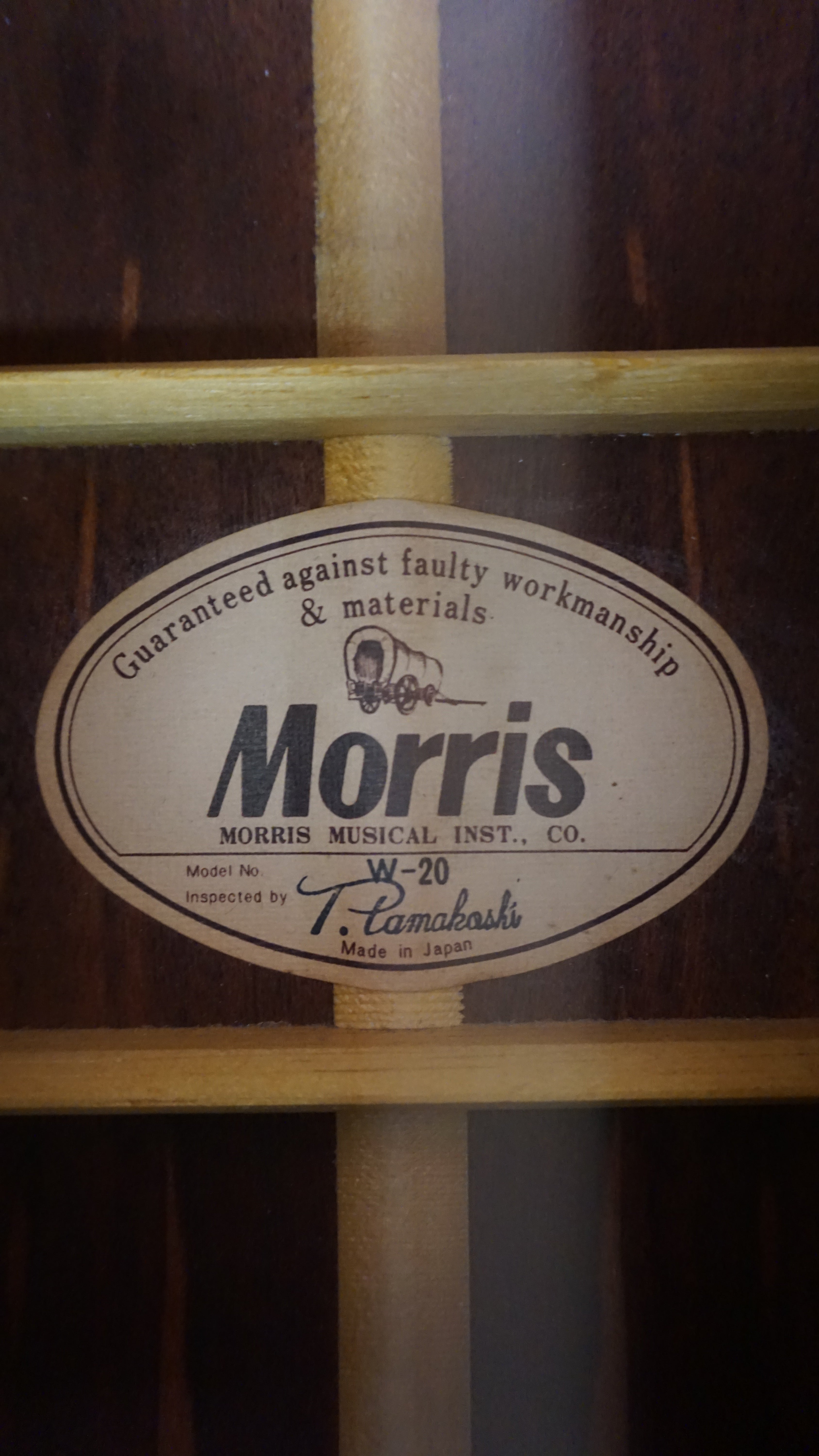 Morris W-20 Japan Acoustic