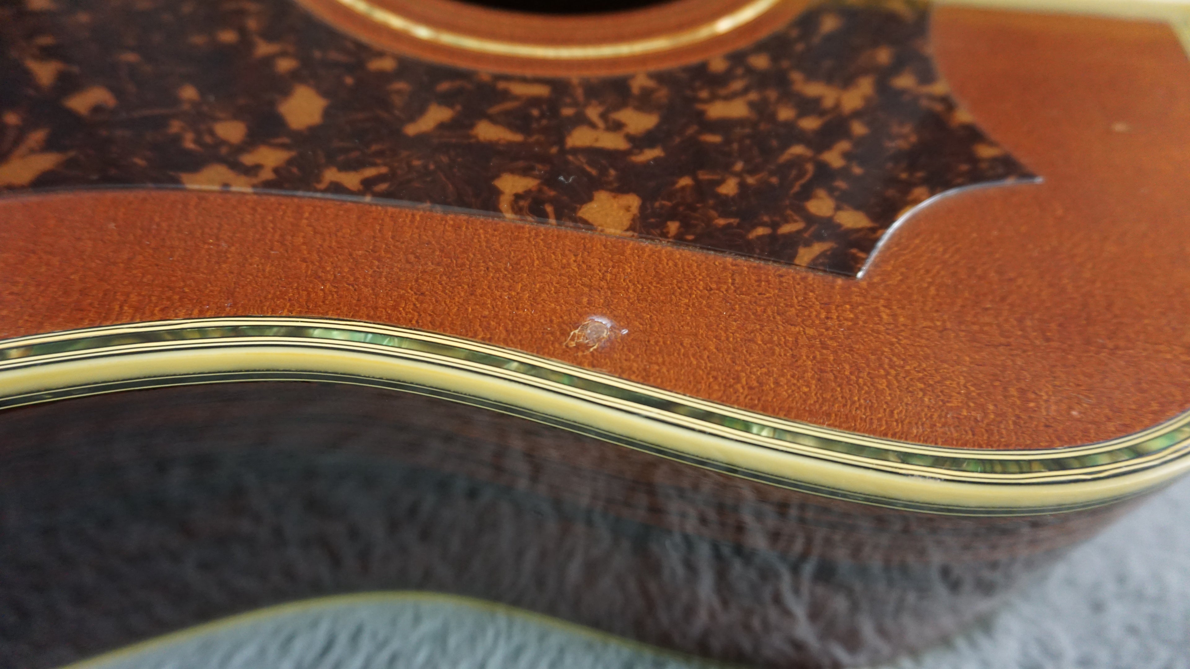 Morris MG-1100 Japan Dreadnought w/ Hard Case