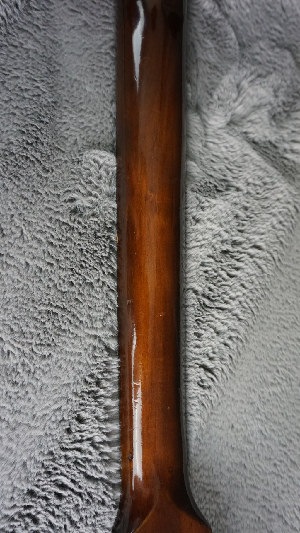 Takamine Elite 70 Japan Acoustic