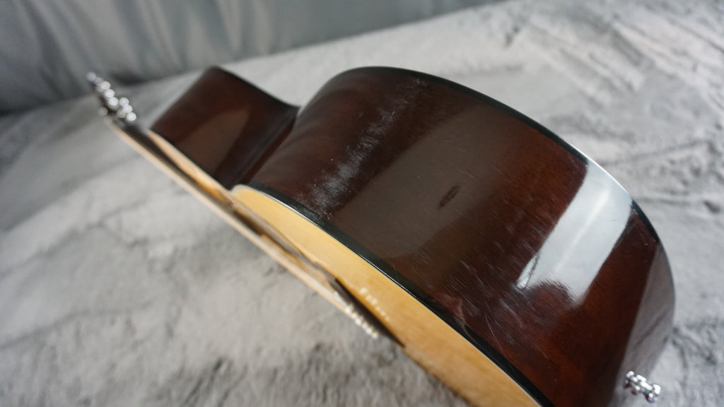 Westone F-13 Japan Acoustic
