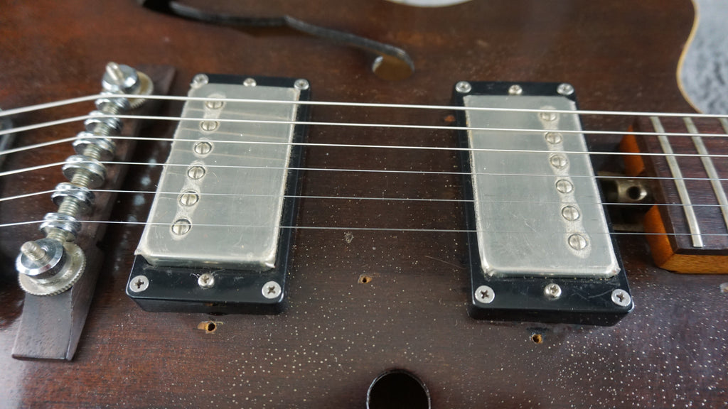 Lero Semi Hollow Body Electric Guitar