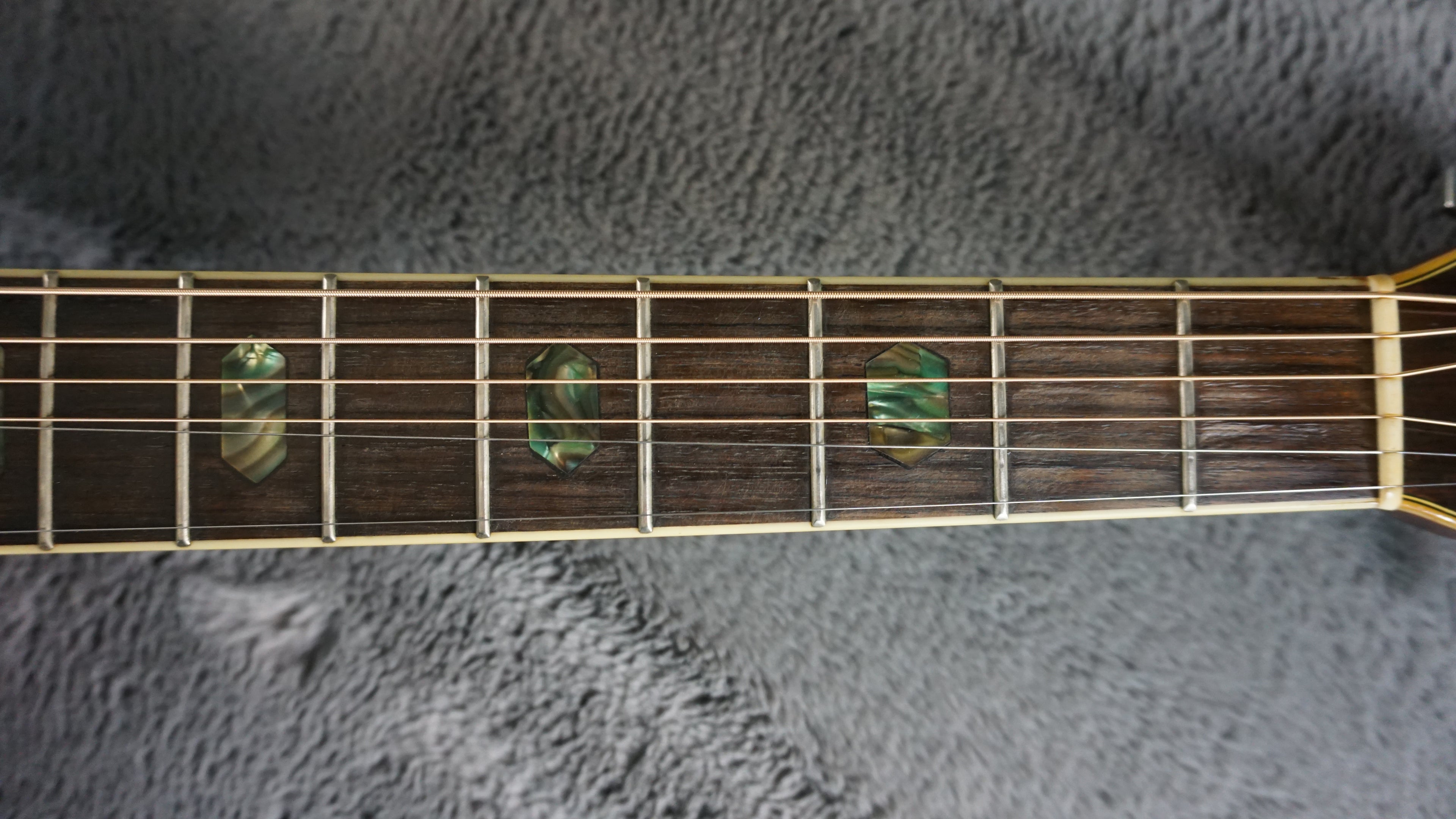 Morris W-40 Japan Solid Spruce Top w/ Fishman Electronics